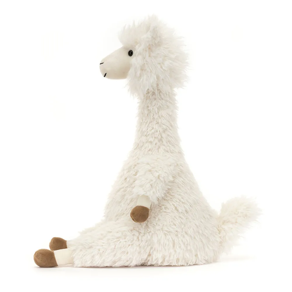 New Alonso Alpaca
