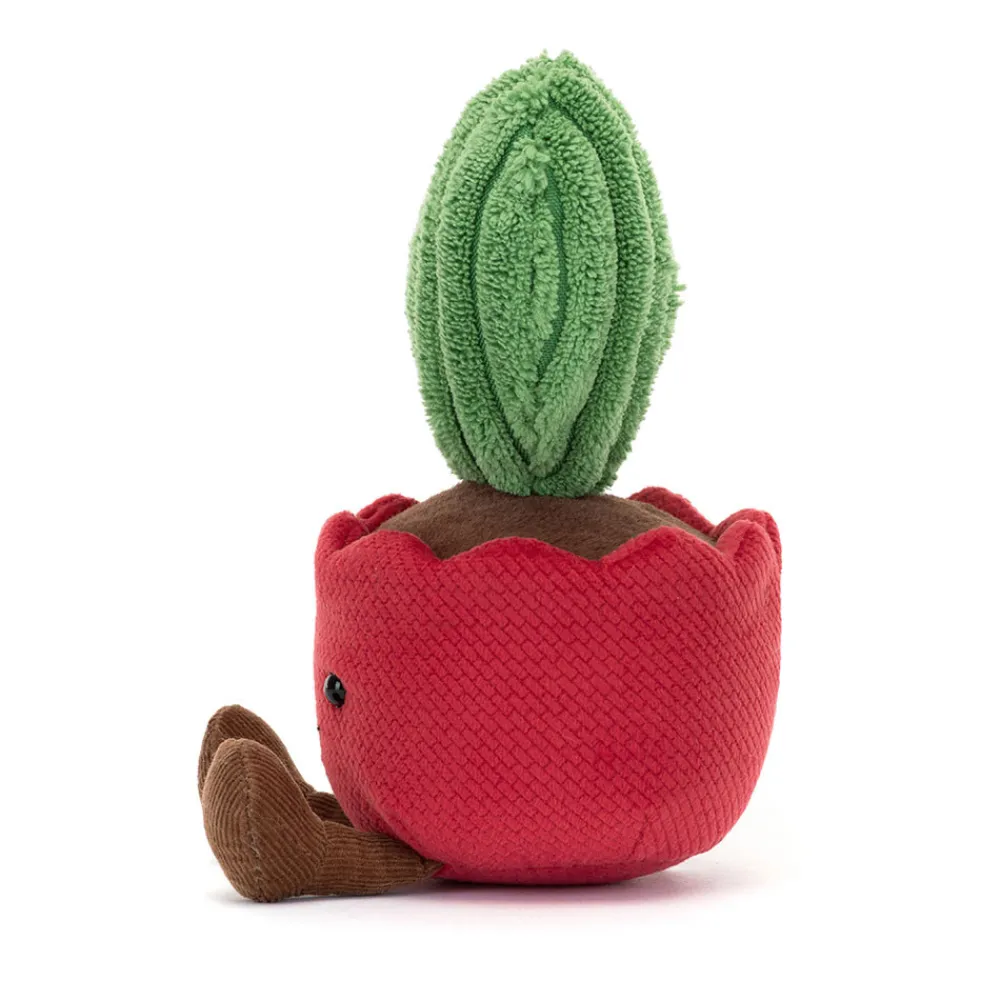 Online Amuseables Kerrii Cactus