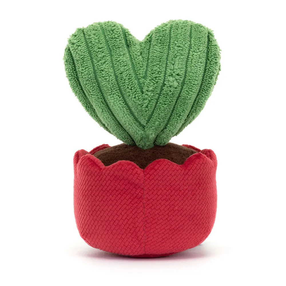 Online Amuseables Kerrii Cactus