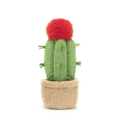 New Amuseables Moon Cactus