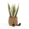 Outlet Amuseables Snake Plant