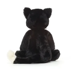 New Bashful Black Kitten