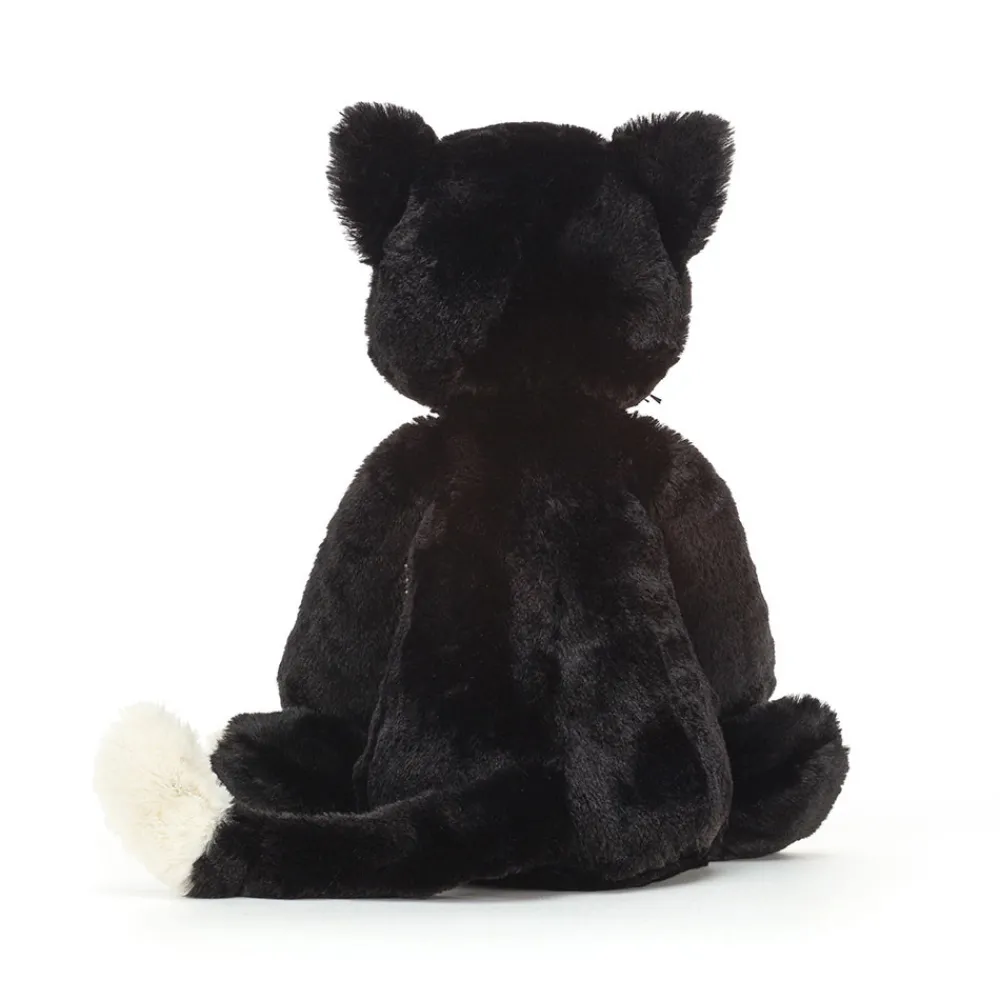 New Bashful Black Kitten