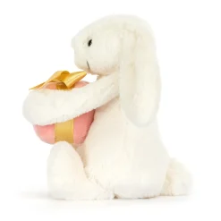 Sale Bashful Bunny with Present