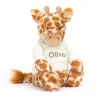Discount Bashful Giraffe with Personalised Cream Jumper