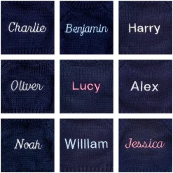 Best Bashful Monkey with Personalised Navy Jumper