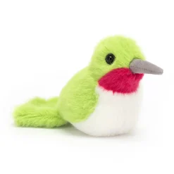 Best Birdling Hummingbird