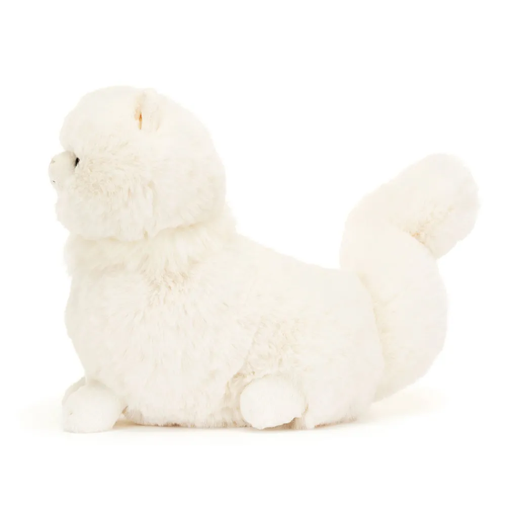 Outlet Carissa Persian Cat