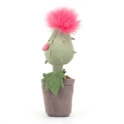 Sale Carniflore Priscilla