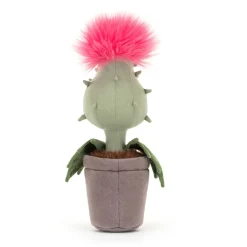 Sale Carniflore Priscilla