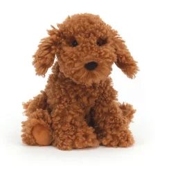 Hot Cooper Doodle Dog