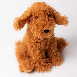 Hot Cooper Doodle Dog