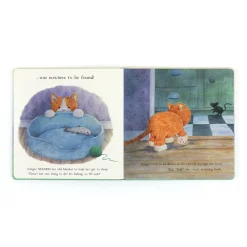 Discount Ginger, the Courageous Kitten Book