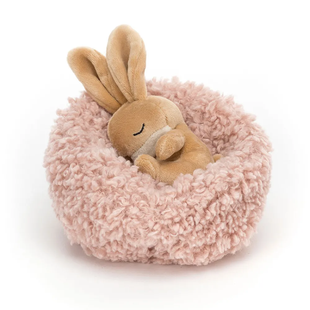 Best Hibernating Bunny