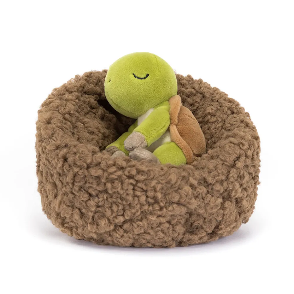 New Hibernating Tortoise