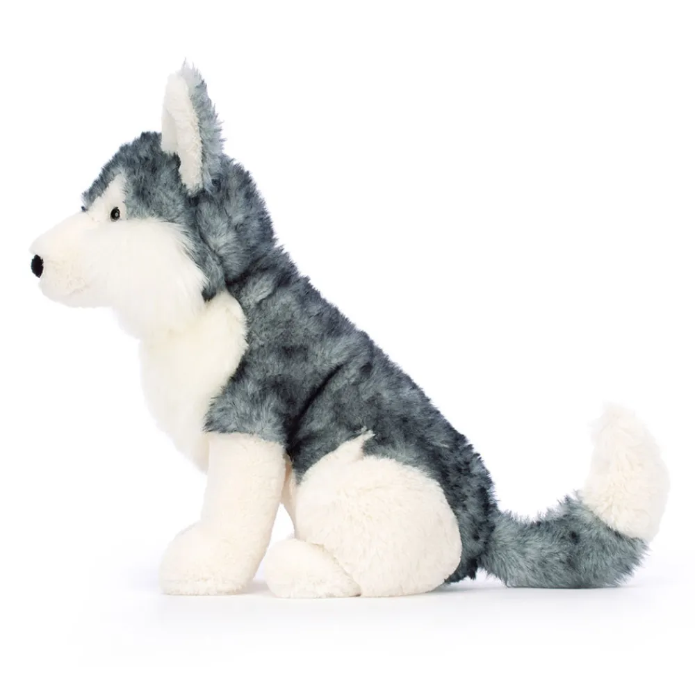 Best Jackson Husky