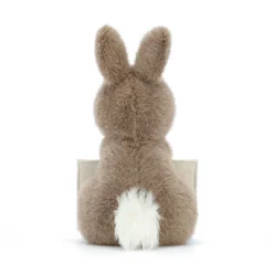 Best Messenger Bunny
