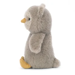 Best Nippit Owl