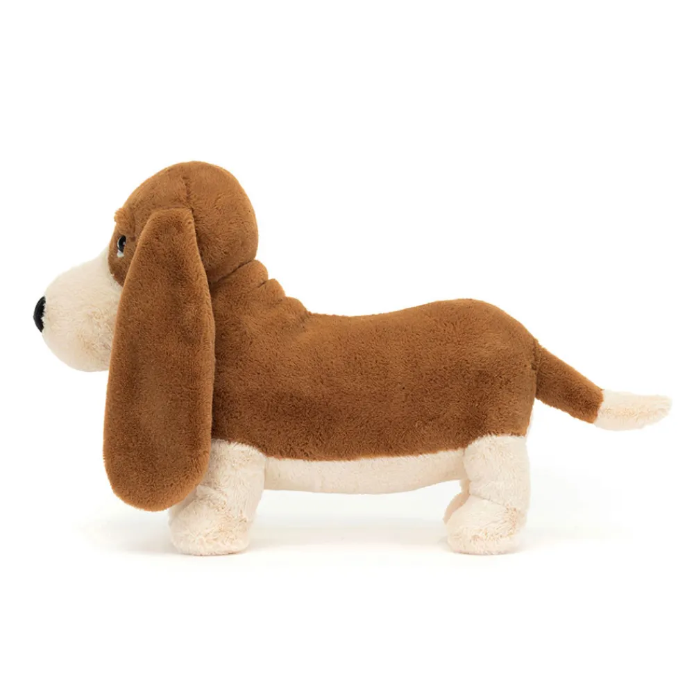 Best Randall Basset Hound