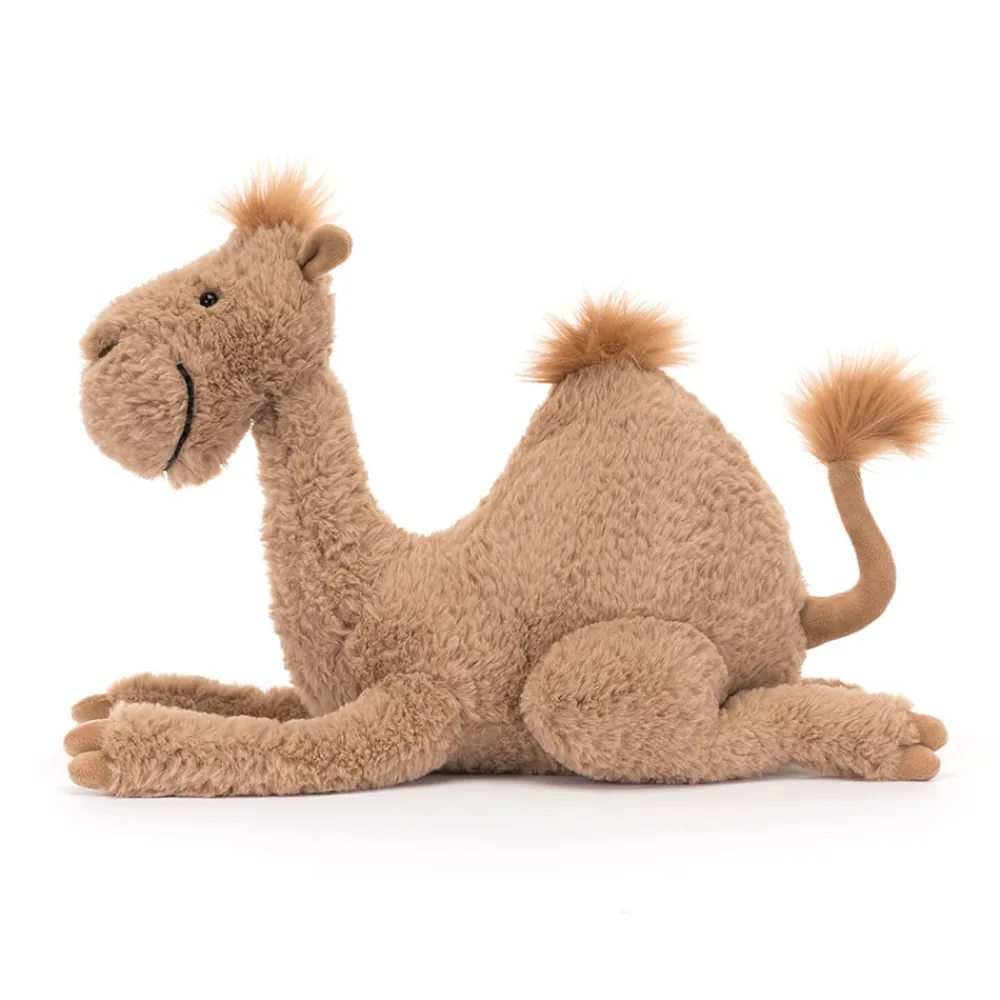 Hot Richie Dromedary