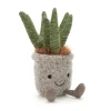 Best Silly Succulent Aloe
