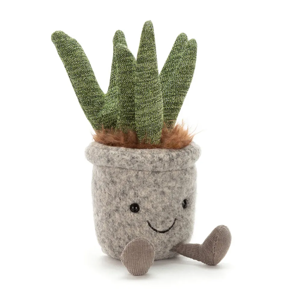 Best Silly Succulent Aloe