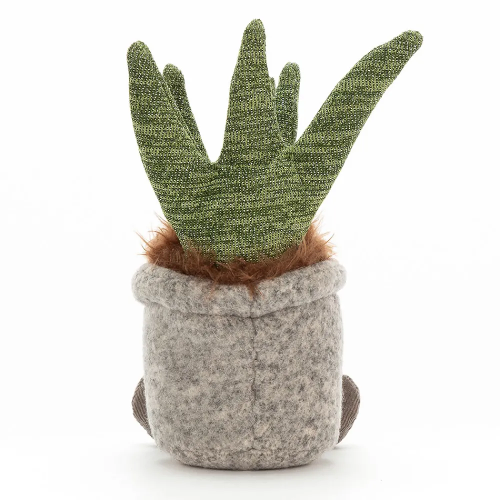 Best Silly Succulent Aloe