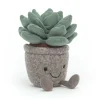 Silly Succulent Azulita