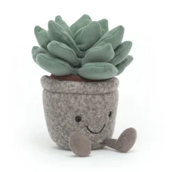 Silly Succulent Azulita