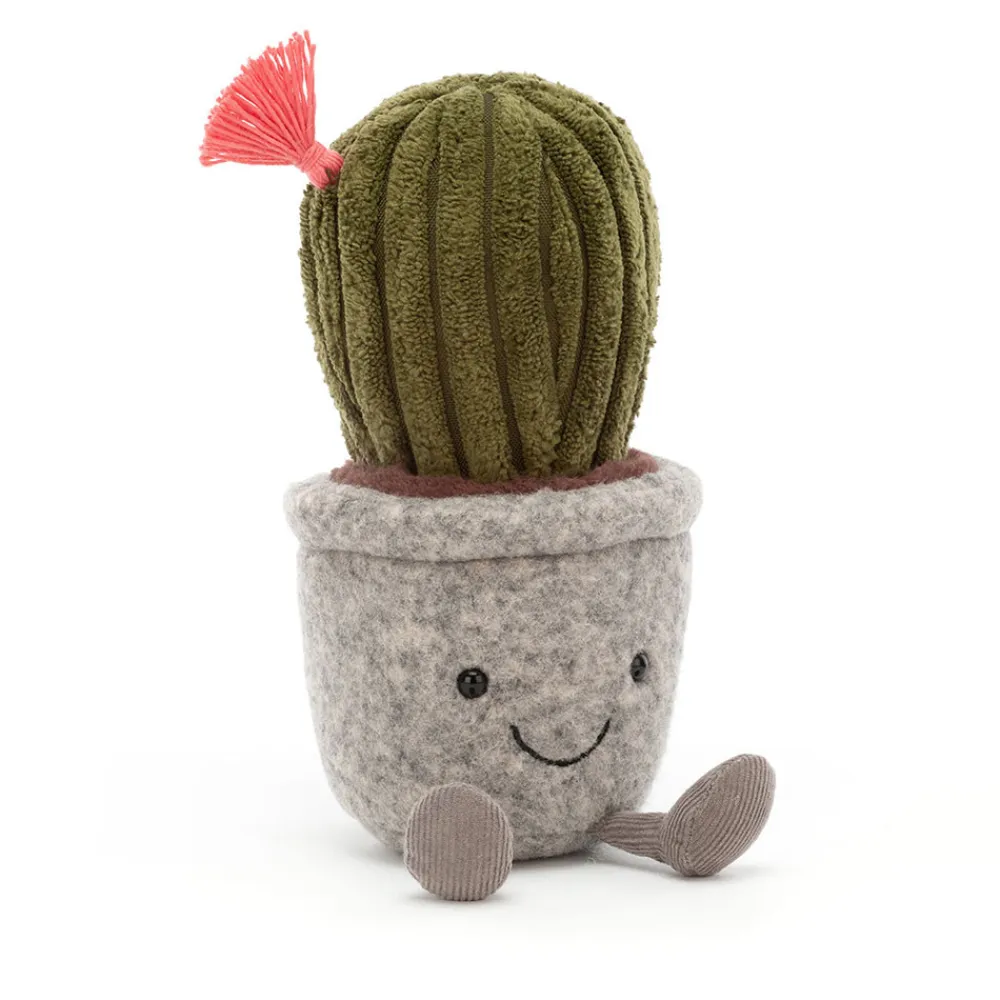 Online Silly Succulent Barrel Cactus