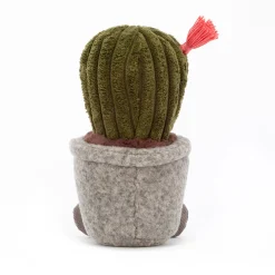 Online Silly Succulent Barrel Cactus