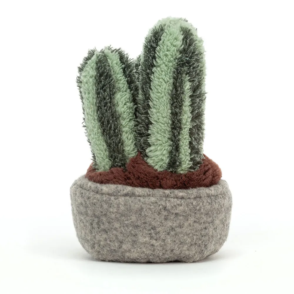 Discount Silly Succulent Columnar Cactus