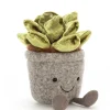 Clearance Silly Succulent Jade