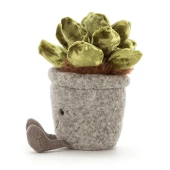 Clearance Silly Succulent Jade