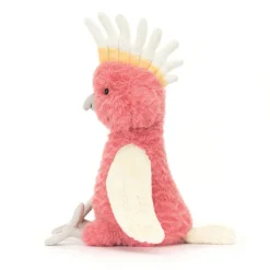 Clearance Squawkatoo