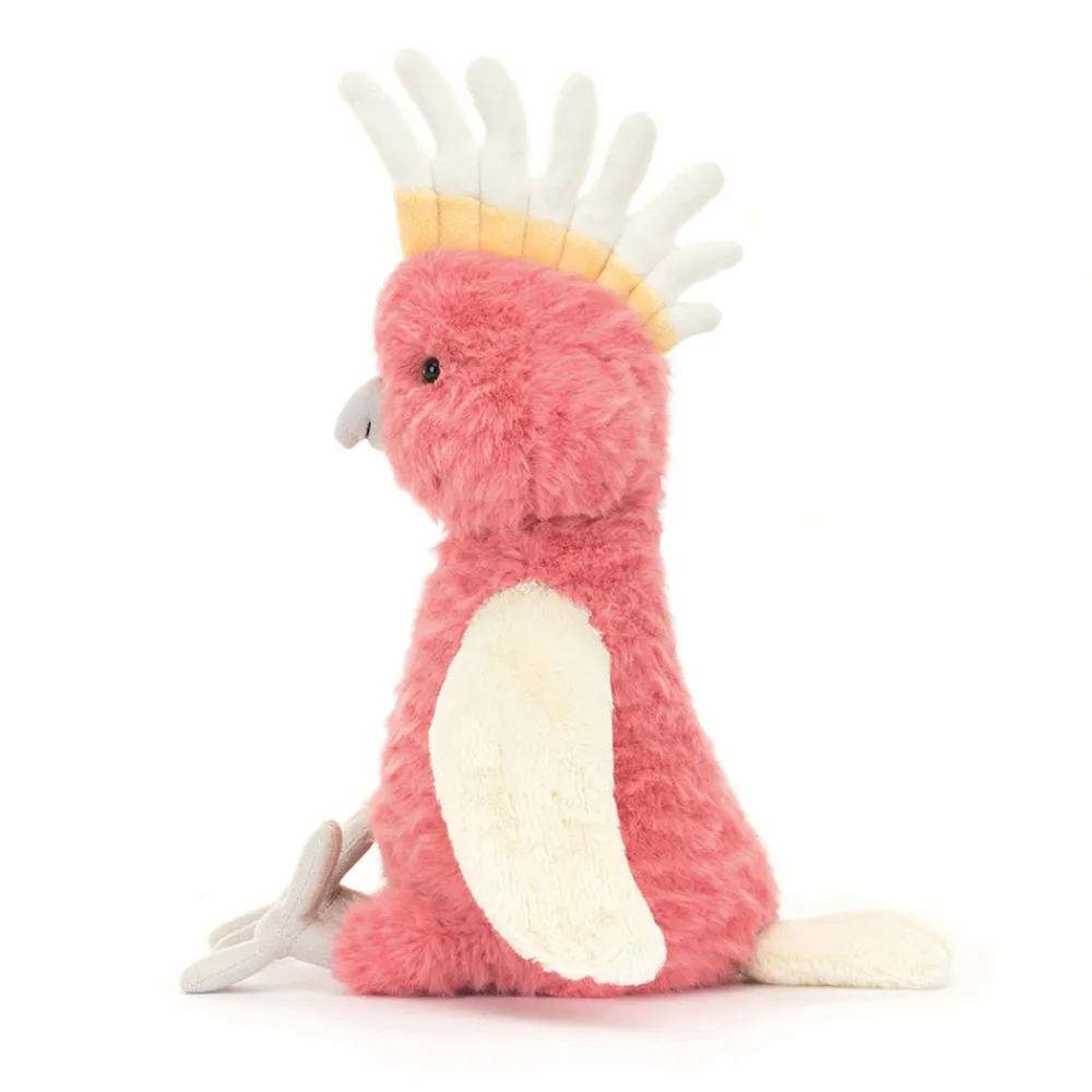 Clearance Squawkatoo