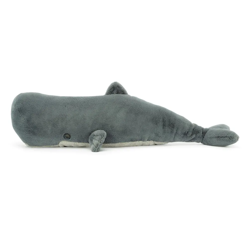 Outlet Sullivan the Sperm Whale