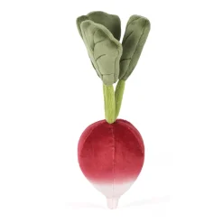 Clearance Vivacious Vegetable Radish
